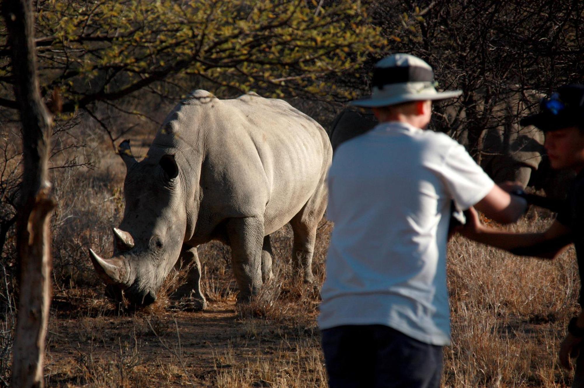 Вілла Waterberg Wilderness - One Namibia Номер фото