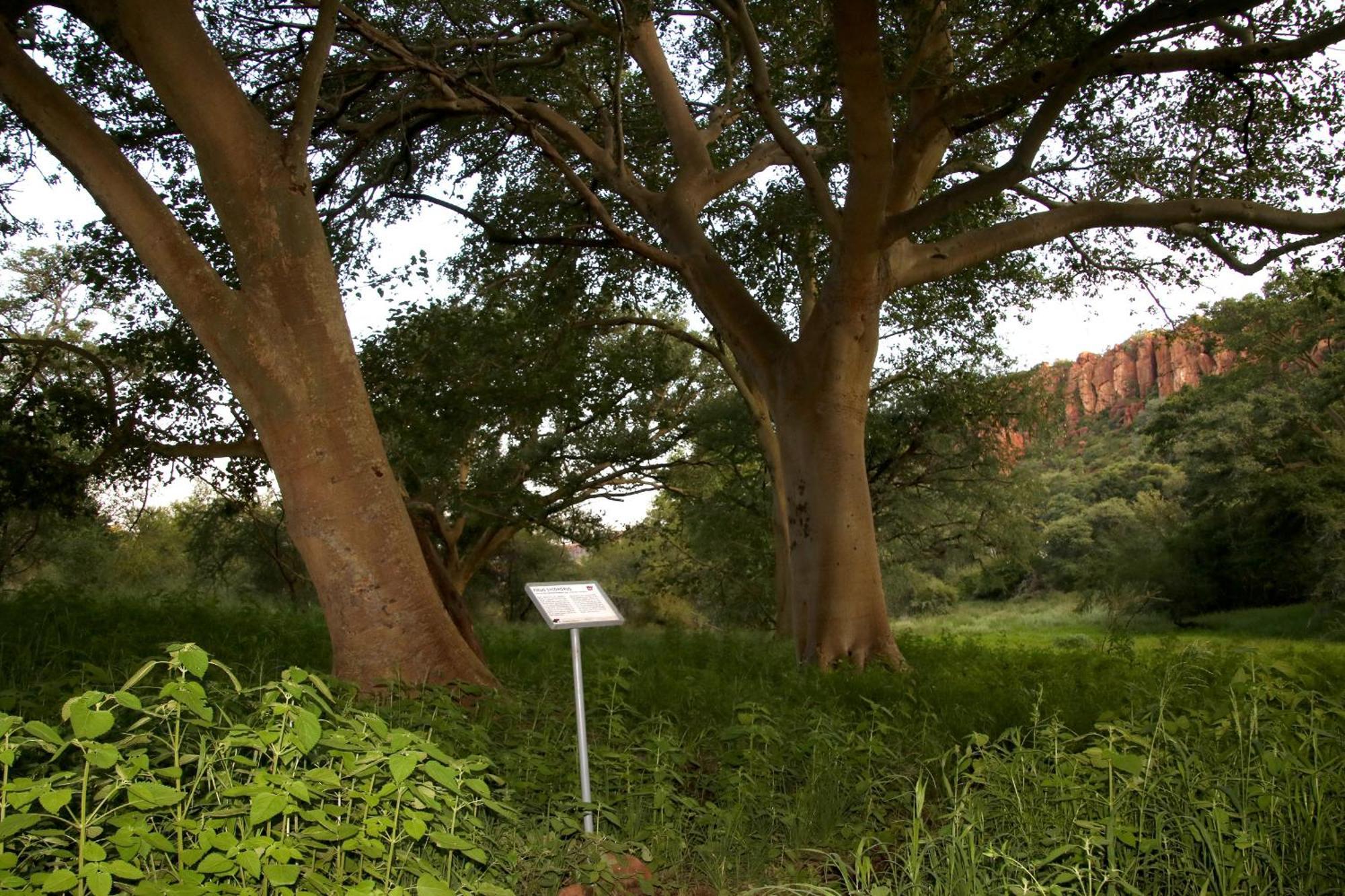 Вілла Waterberg Wilderness - One Namibia Екстер'єр фото