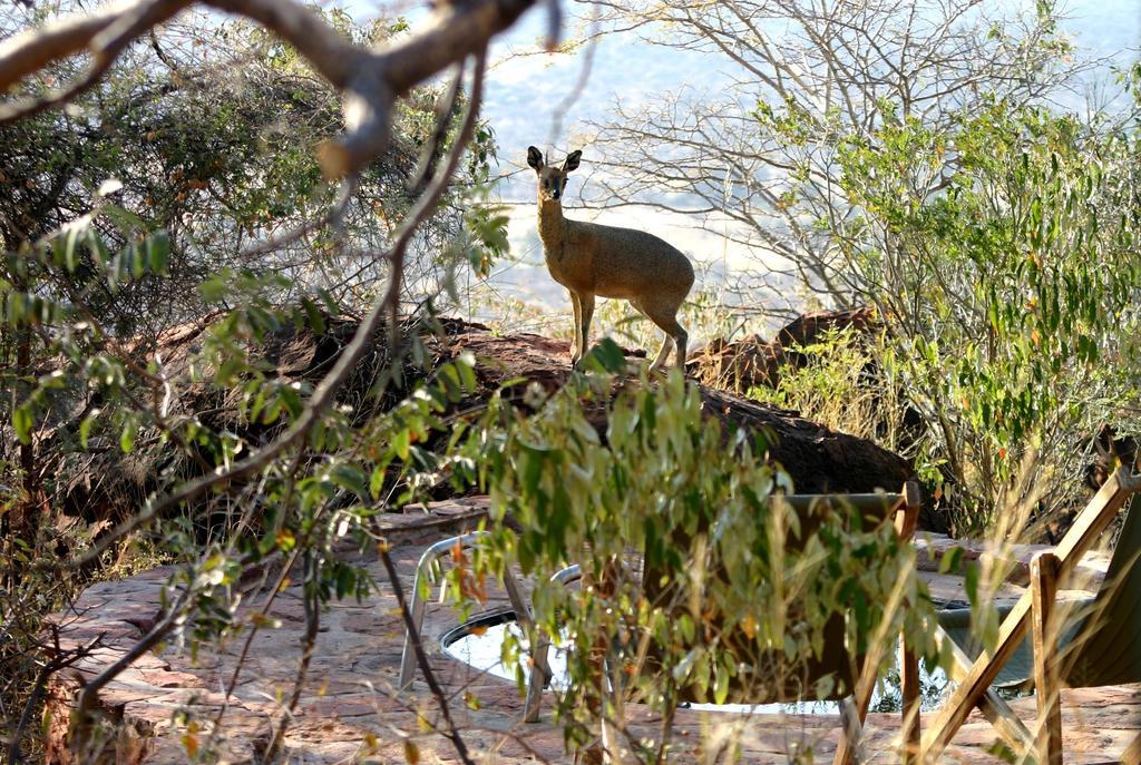 Вілла Waterberg Wilderness - One Namibia Екстер'єр фото