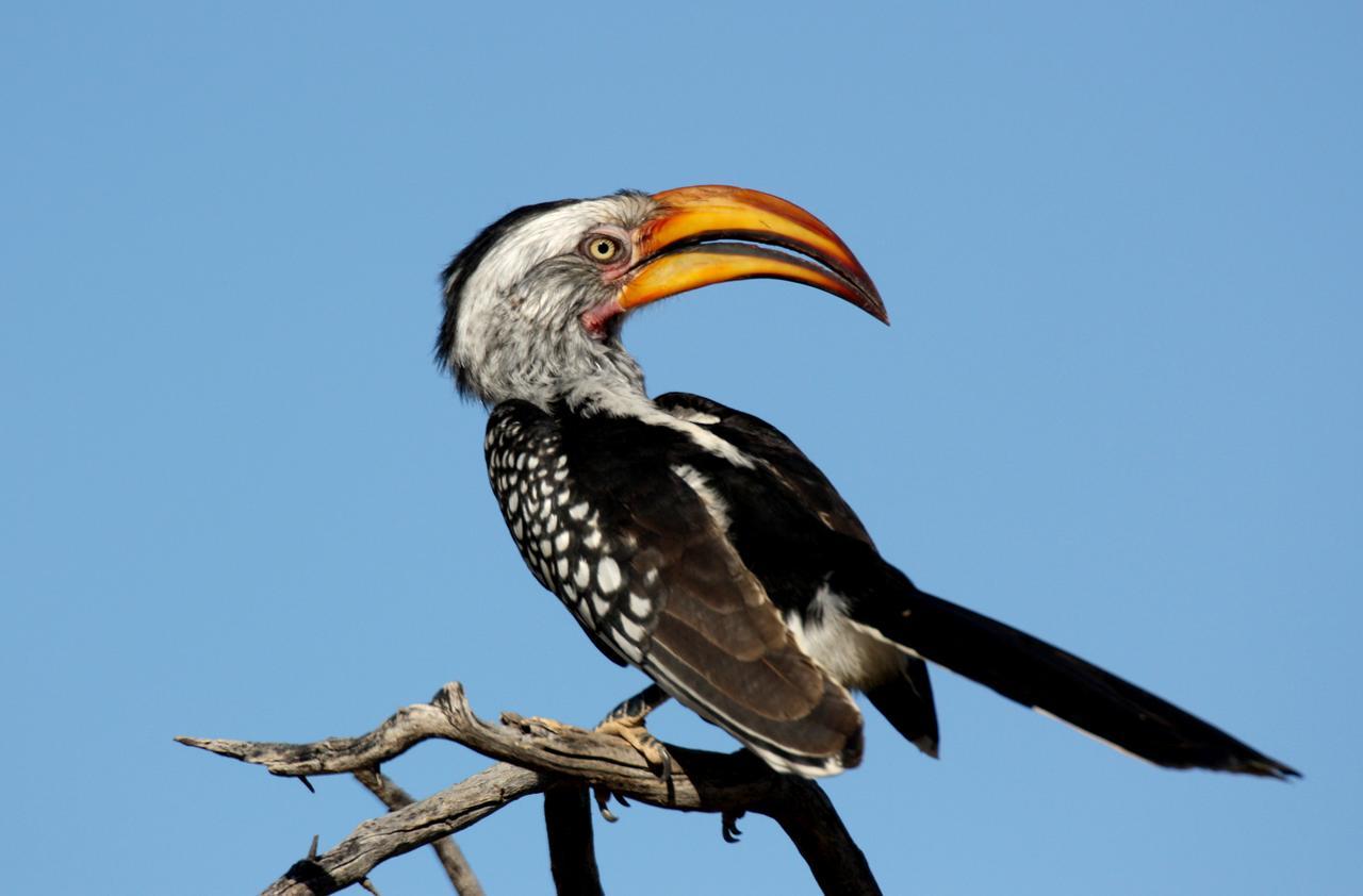 Вілла Waterberg Wilderness - One Namibia Екстер'єр фото