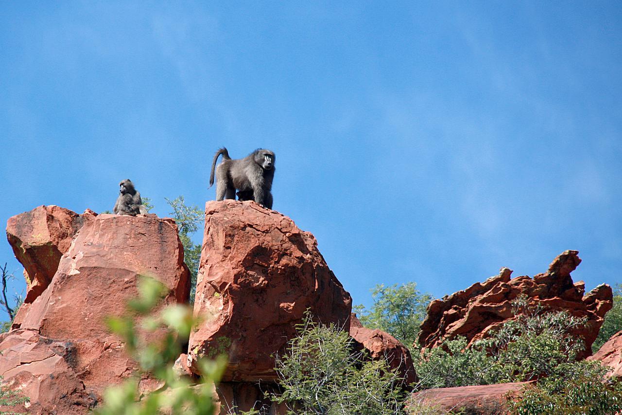 Вілла Waterberg Wilderness - One Namibia Екстер'єр фото