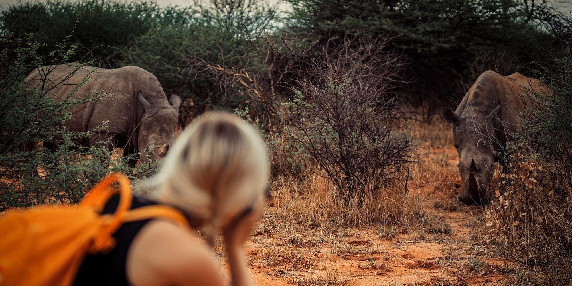 Вілла Waterberg Wilderness - One Namibia Екстер'єр фото